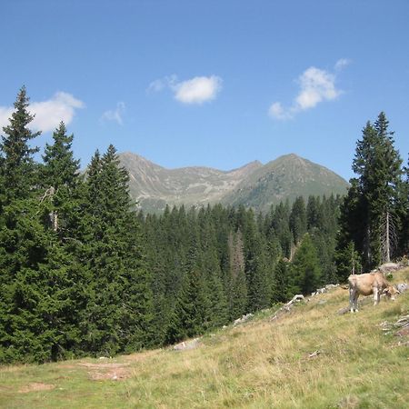 Fewo Windbichl Parcines Εξωτερικό φωτογραφία